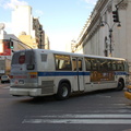 DSC_2065a.jpg