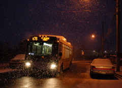 DSC_2764a.jpg