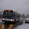 DSC_2778.jpg