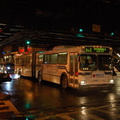 DSC_2993.jpg