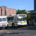 IMG_5242.JPG