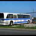 IMG_5671a.jpg