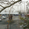 Atlantic Express bus garage at North Street on Staten Island. Photo taken by Brian Weinberg, 6/9/2005.