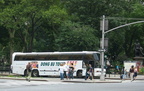 Other Buses