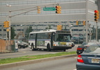 DSC_4253a.jpg
