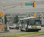 DSC_4254a_1024.jpg