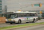 DSC_4317a.jpg