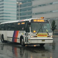 DSC_4384a.jpg