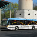 IMG_1336.jpg