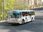 IMG_1361.jpg