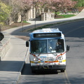 IMG_1364a.jpg