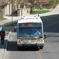 IMG_1379.jpg