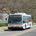 IMG_1517.jpg