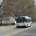 IMG_1521a.jpg