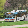 IMG_1615a.jpg