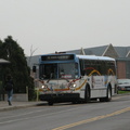 IMG_1617a.jpg