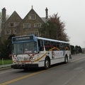 IMG_1619a.jpg