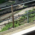 Abandoned LIRR Bay Ridge Branch &quot;East New York&quot; Station as seen from the (L) @ Atlantic Av. Photo taken by Brian Weinb