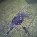 Large blob of spilled paint or tar @ 72 St (1/2/3) southbound platform. Photo taken by Brian Weinberg, 8/31/05.