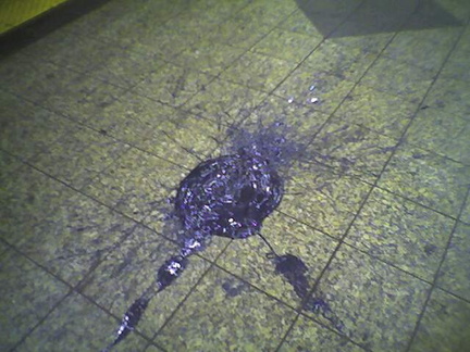 Large blob of spilled paint or tar @ 72 St (1/2/3) southbound platform. Photo taken by Brian Weinberg, 8/31/05.