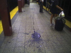 Large blob of spilled paint or tar @ 72 St (1/2/3) southbound platform. Photo taken by Brian Weinberg, 8/31/05.
