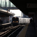 DSC_1018.JPG