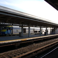 DSC_1027.JPG