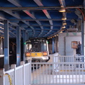 DSC_1041.JPG
