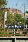 Morris Park (5)