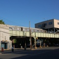 Dyre Av (5)