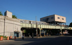 Dyre Av (5)