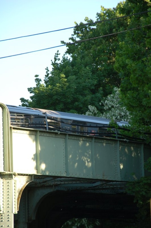 Dyre Av (5)