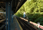 Dyre Av (5)
