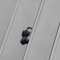 umbrella on the roof at 207 Street Yard