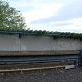 DSC_3178a.jpg
