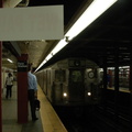 DSC_3666fa.jpg