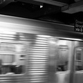 DSC_4569abw.jpg