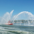 DSC_4969a.jpg