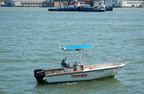 DSC_5063a.jpg