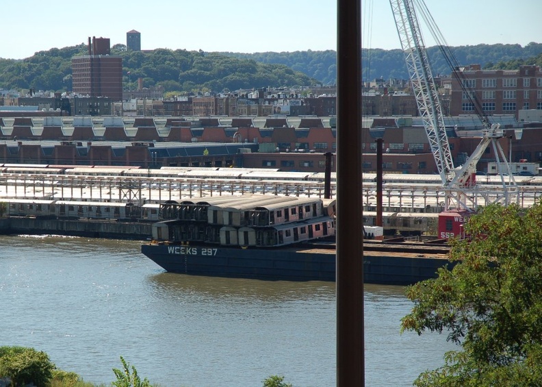 DSC_5156a.jpg