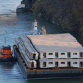 DSC_8070a.jpg