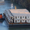 DSC_8071a.jpg