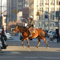 DSC_8751a.jpg