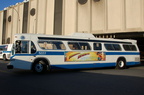 DSC_8781.jpg