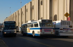 DSC_8784a.jpg