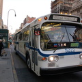 DSC_8920f.jpg