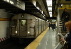 DSC_9387a.jpg