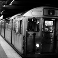DSC_9415bw.jpg