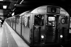 DSC_9415bw.jpg