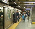 DSC_9428a.jpg